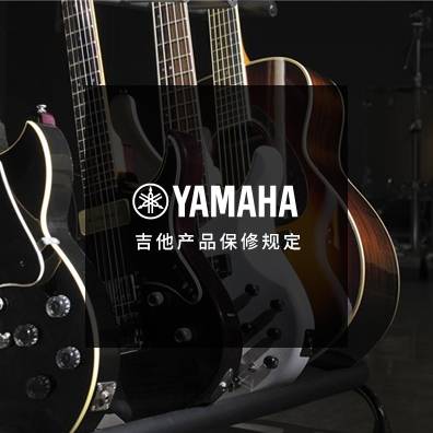 吉他、贝斯和音箱